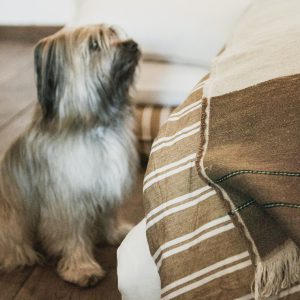 Hudson Flax - reines Leinen Hundebett von Libeco