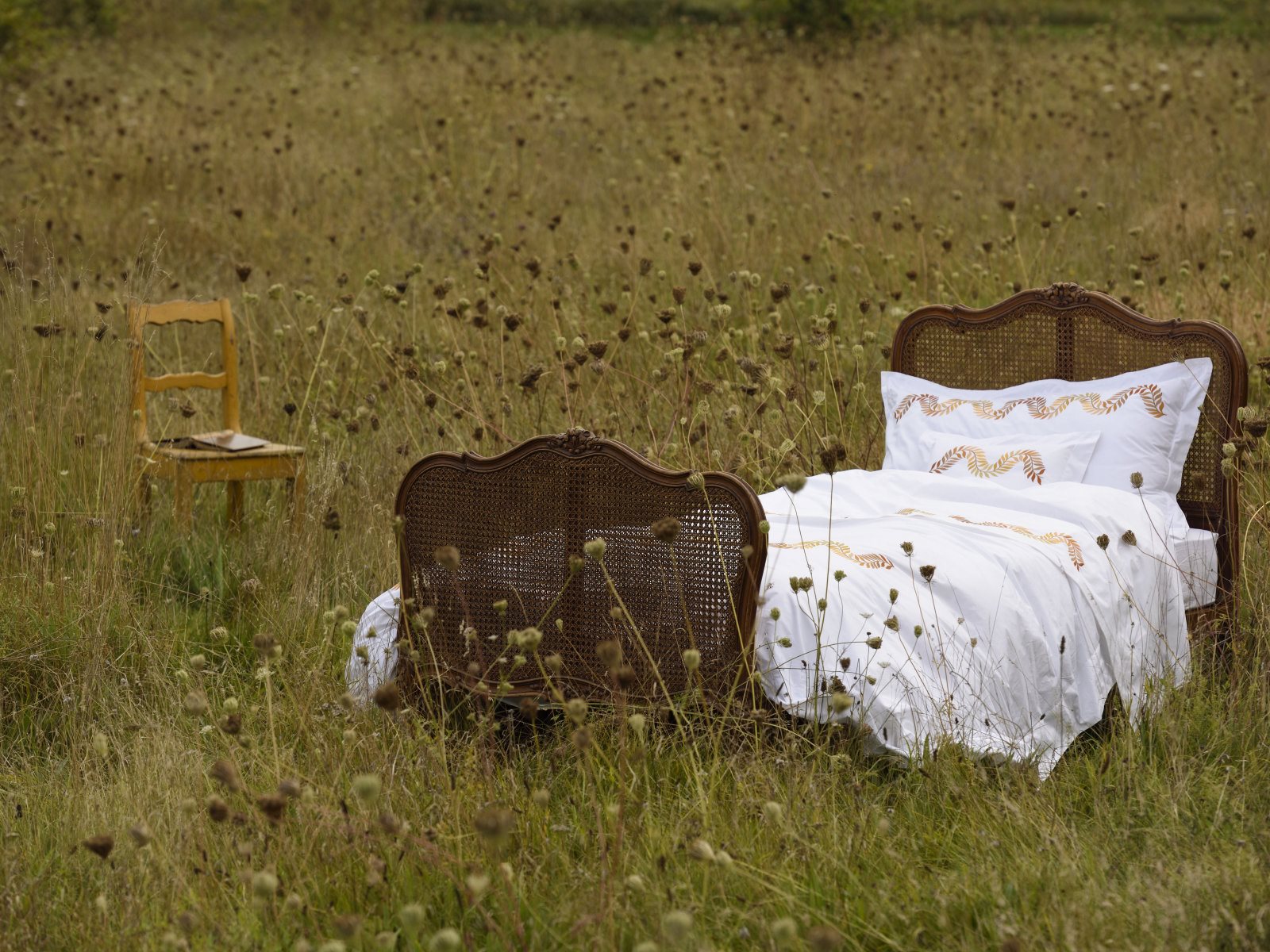 Laurels Percal 400TC Bettwäsche von Peter Reed – Bild 4