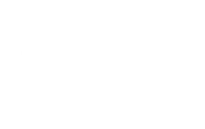 Leitner Leinen Logo