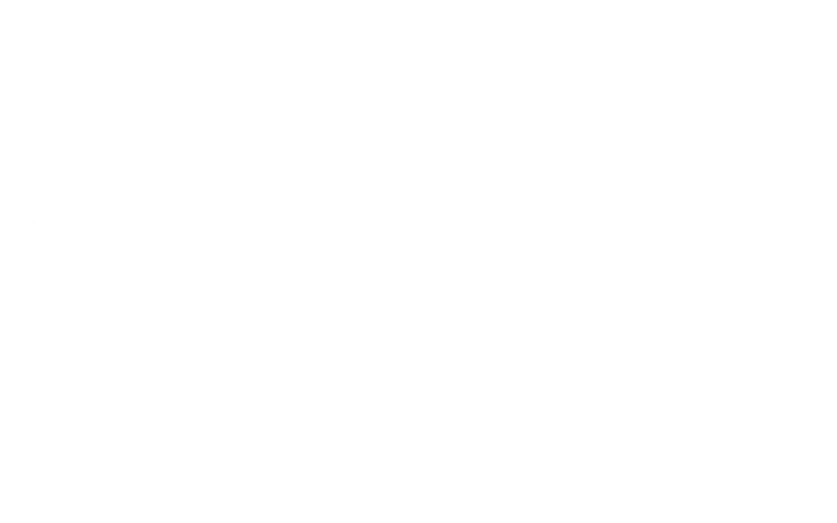 The image is completely blank with a white background and no visible objects, text, or features.