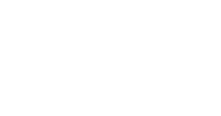 The white text on a light gray background reads SCHLITZER LEINEN in a geometric Art Deco style font.