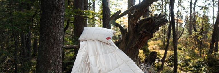 A cream-colored, quilted sleeping bag is draped over a fallen tree in a sunlit forest, surrounded by tall trees and greenery.