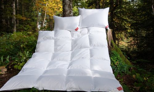 A Down Silver Down Pillow by HEFEL and a white duvet lie on green grass and moss in a sunlit forest, with sunlight filtering through the trees.