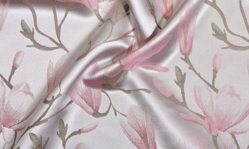 Eine Nahaufnahme einer rosa Blume auf weißem Hintergrund.